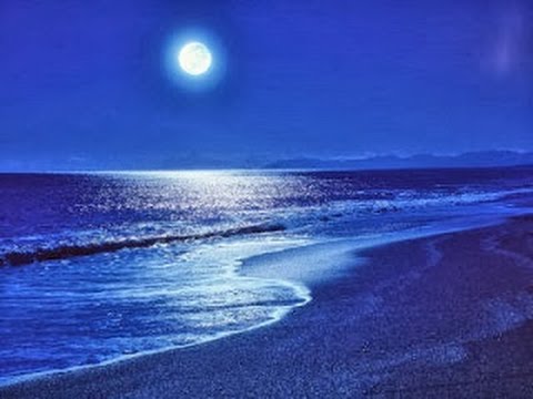 OLAS MAR Y PLAYA 31 DE MARZO DE 2016