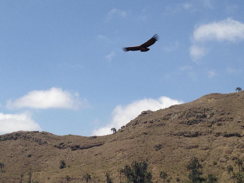 6ff87008-1215-49b7-827a-12da8eb0bbca