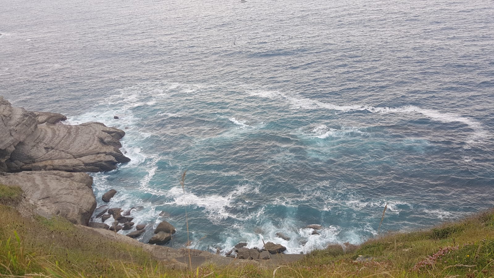 9c3fc493-9dab-44fd-a5b1-313347b5f3bd